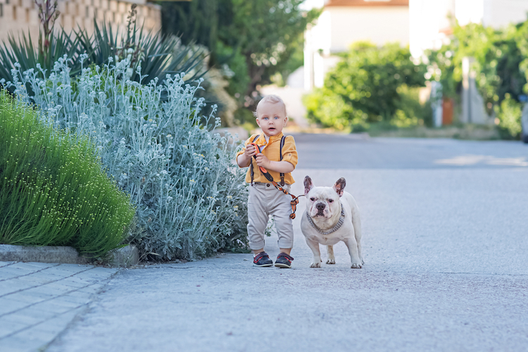 25 Popular Baby Names for Boys in France Today That Chic American Parents Should Try