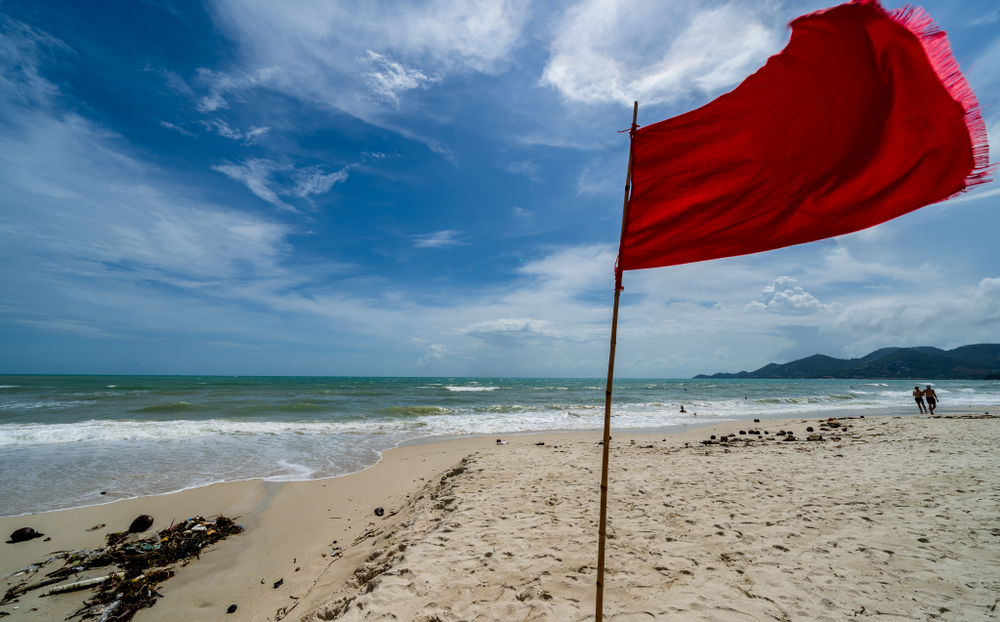 Media Exec. Dad of 3 Tragically Dies After Saving Kids from Rip Current in Florida