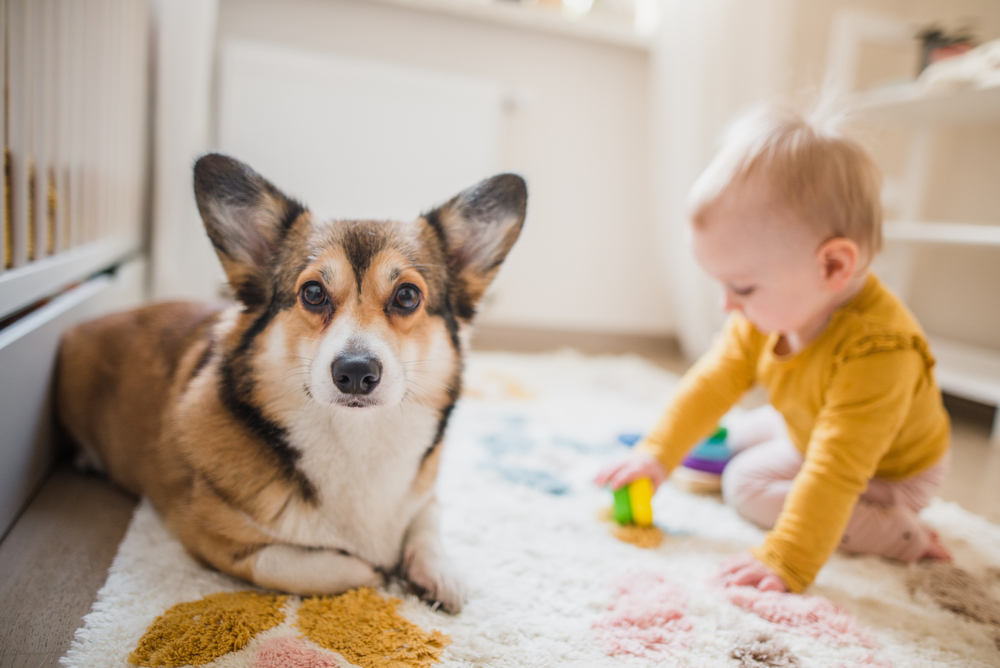 25 Welsh Baby Names for Boys Ranked from Most Popular in the US to Most Unique