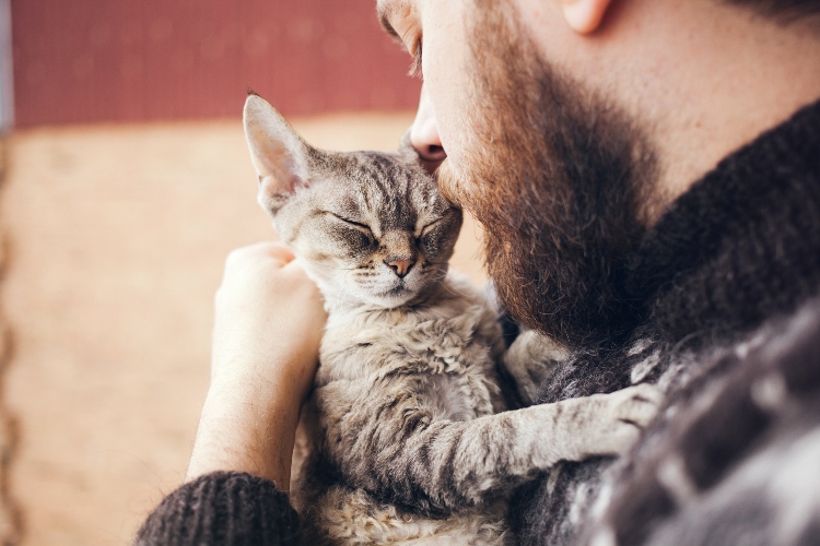 Missing Cat Of 15 Years Reunited With Owner