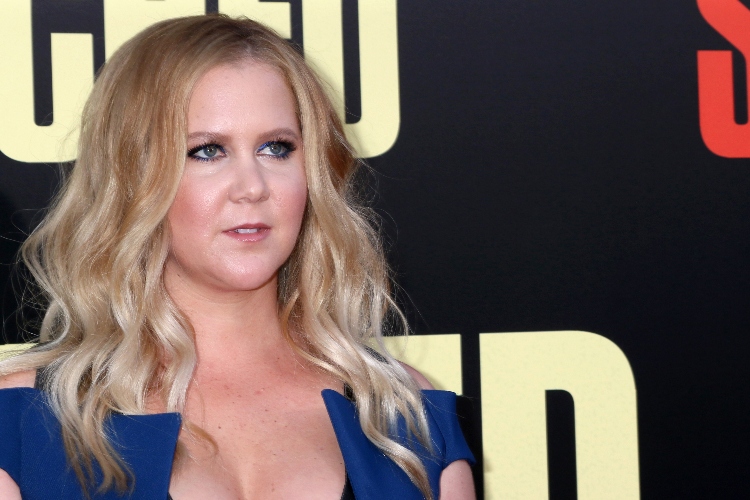 Amy Schumer Posts Hilariously Relatable Parenting Clip