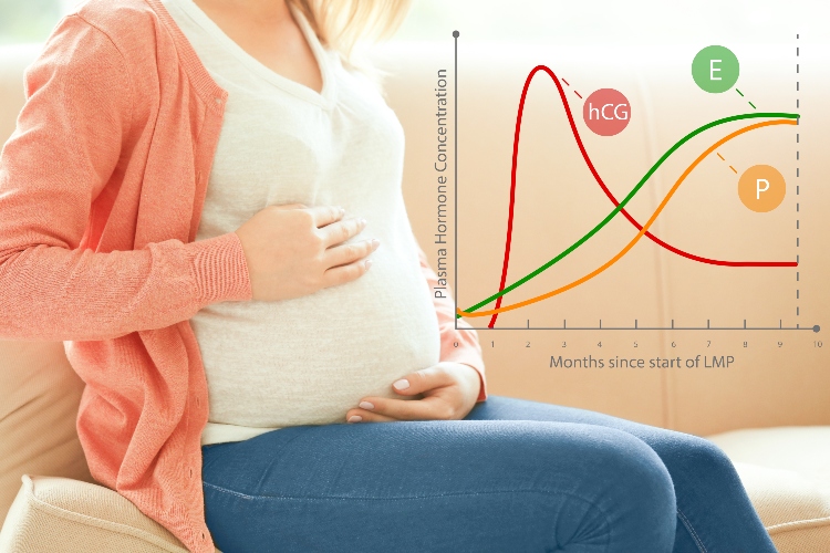 Q&A: Were You Ever Concerned About Your HCG Levels?