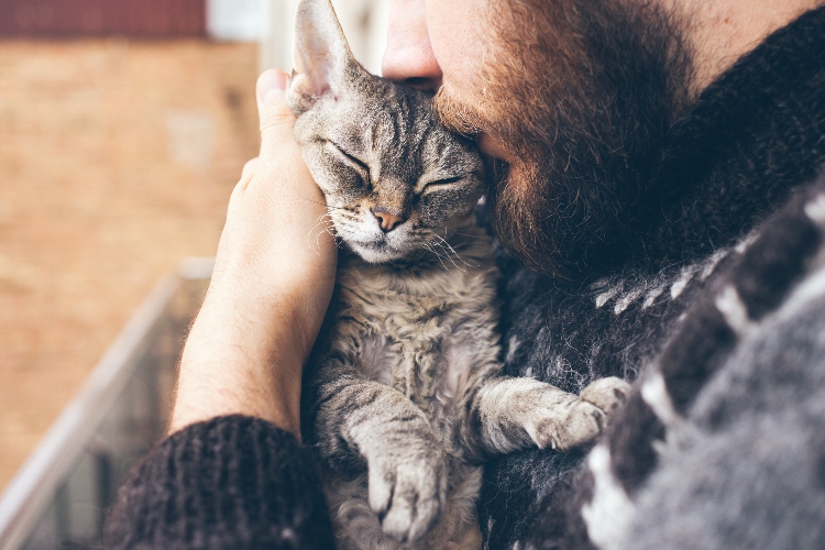 Missing Cat Of 15 Years Reunited With Owner