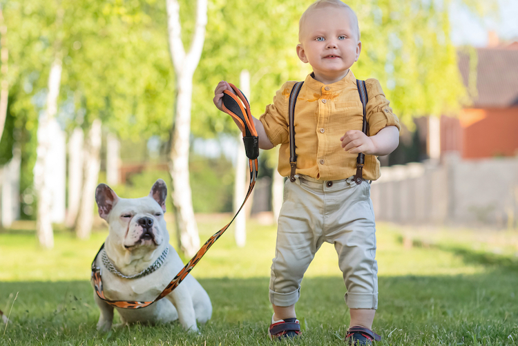 101 French Last Names that Make Good First Names | Looking for a tasteful French last name to use as a first or middle name for your baby?