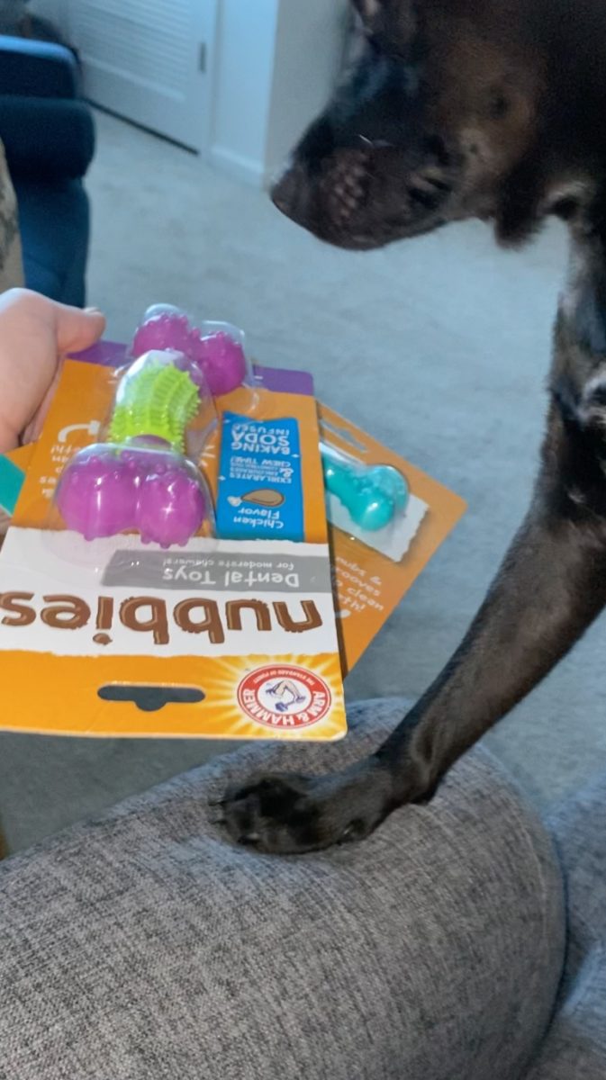 If You Have a Dog Who Loves to Chew, You're Going to Want These Toys