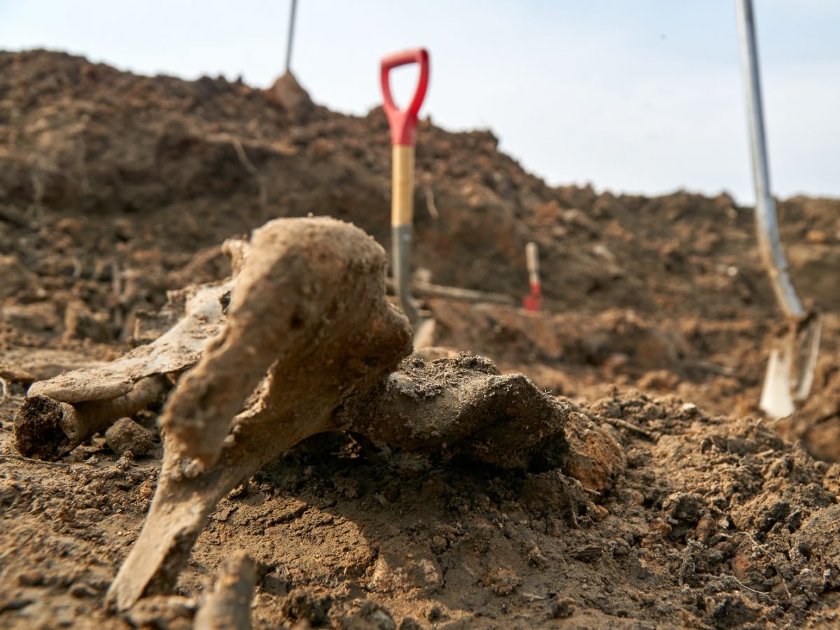 Remains Of 215 Indigenous Children Found At Residential School In Canada Cited As 'Cultural Genocide'