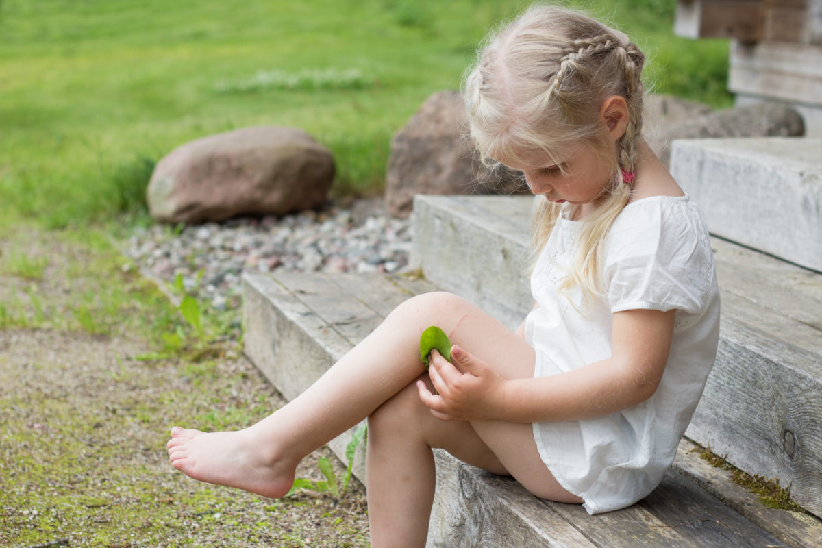 girl with plant plantrain