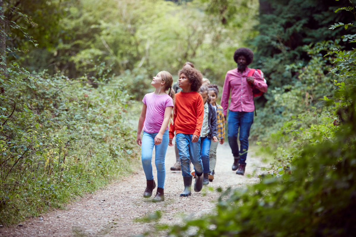 kids walk nature plant herb