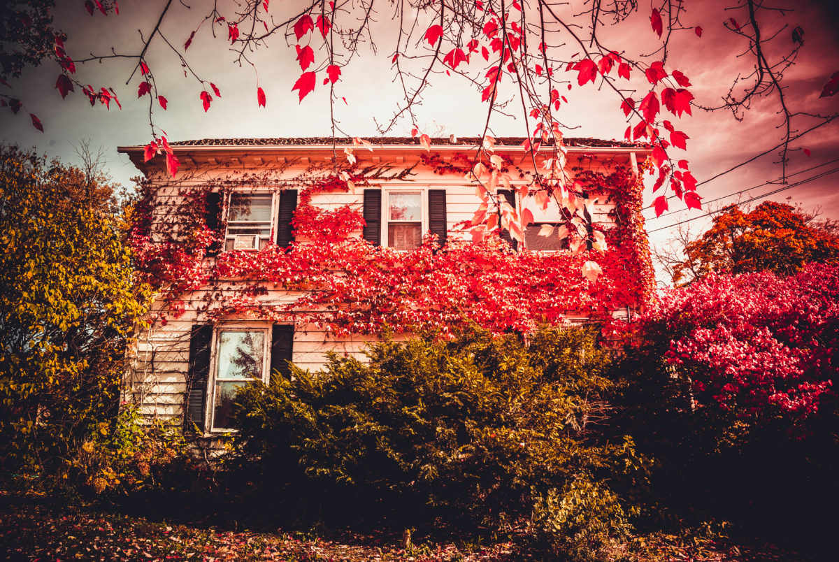 Haunted House Turns Too Real When an Actor Accidentally Cuts Boy