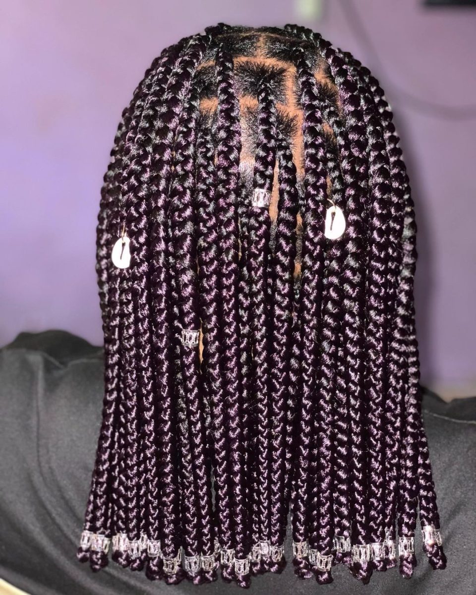 40 Box Braids Hairstyles 