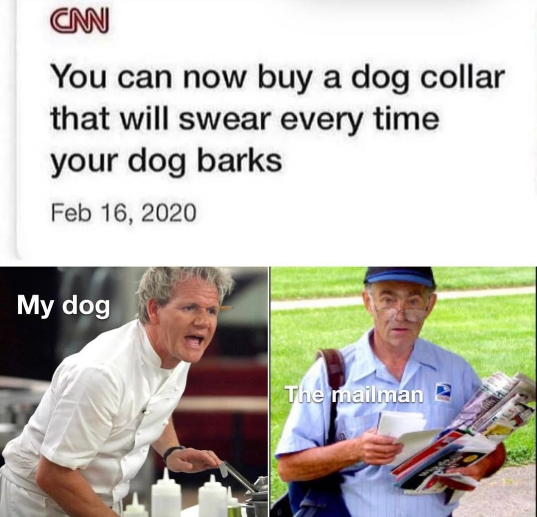 30 Gordon Ramsay Memes 