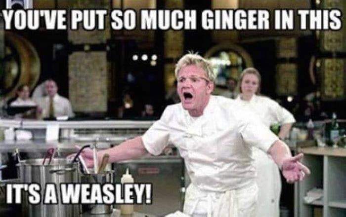 30 Gordon Ramsay Memes 