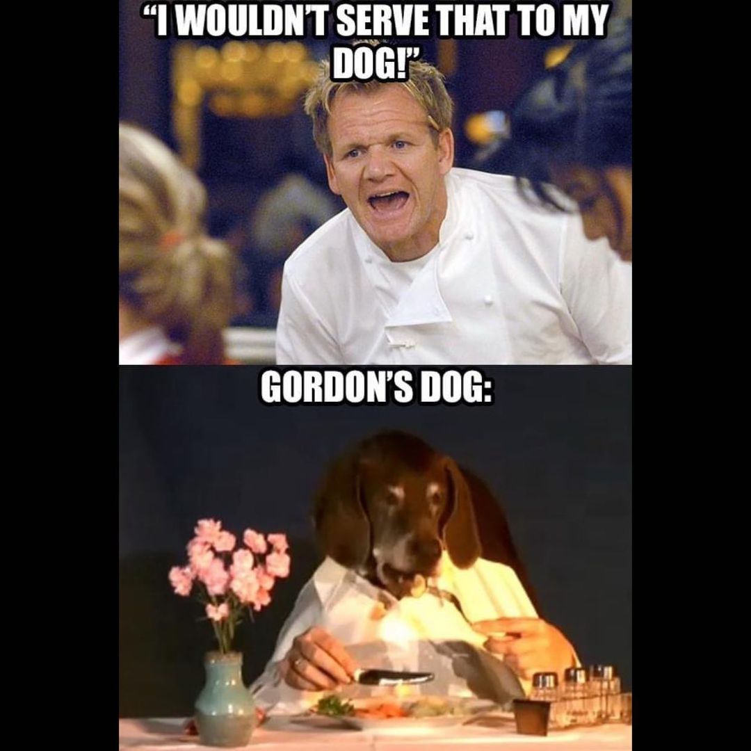 30 Gordon Ramsay Memes 