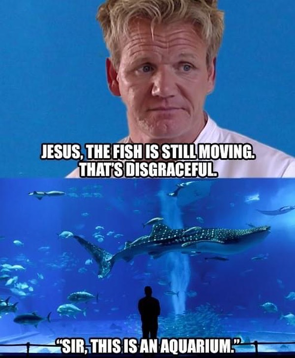 30 Gordon Ramsay Memes 