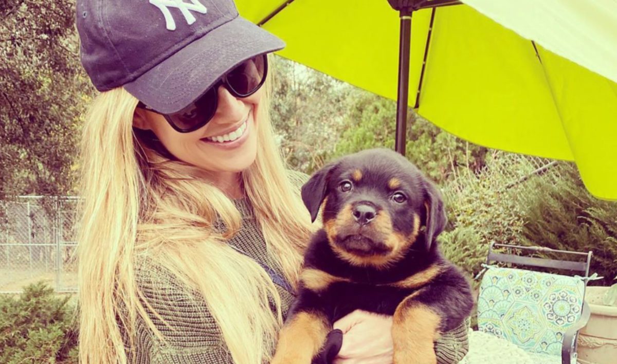 Christina Haack Says She Rehomed Her Dog Biggie Due To 'Behavioral Issues'