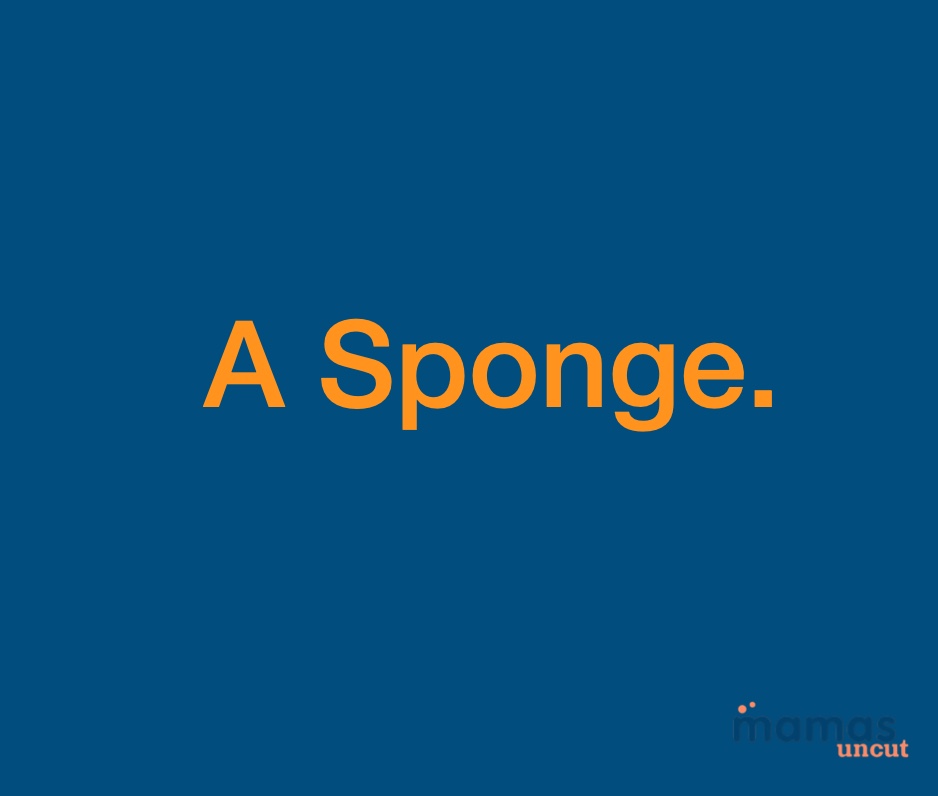 What Is Full of Holes But Will Still Hold Water? | Solve This Riddle: What Is Full of Holes But Will Still Hold Water?