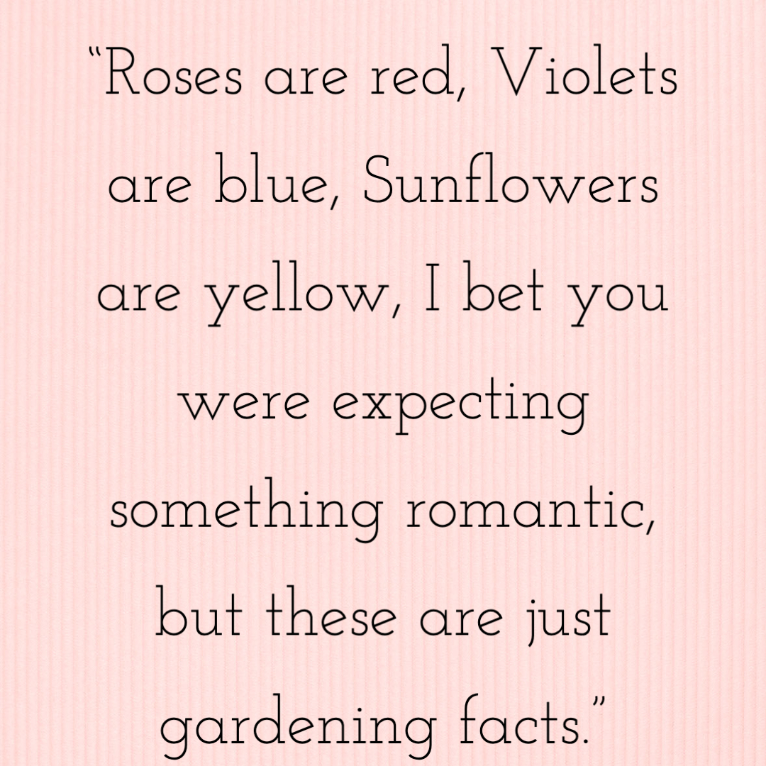 100 Funny Valentines Day Quotes That Spread Laughter and Love