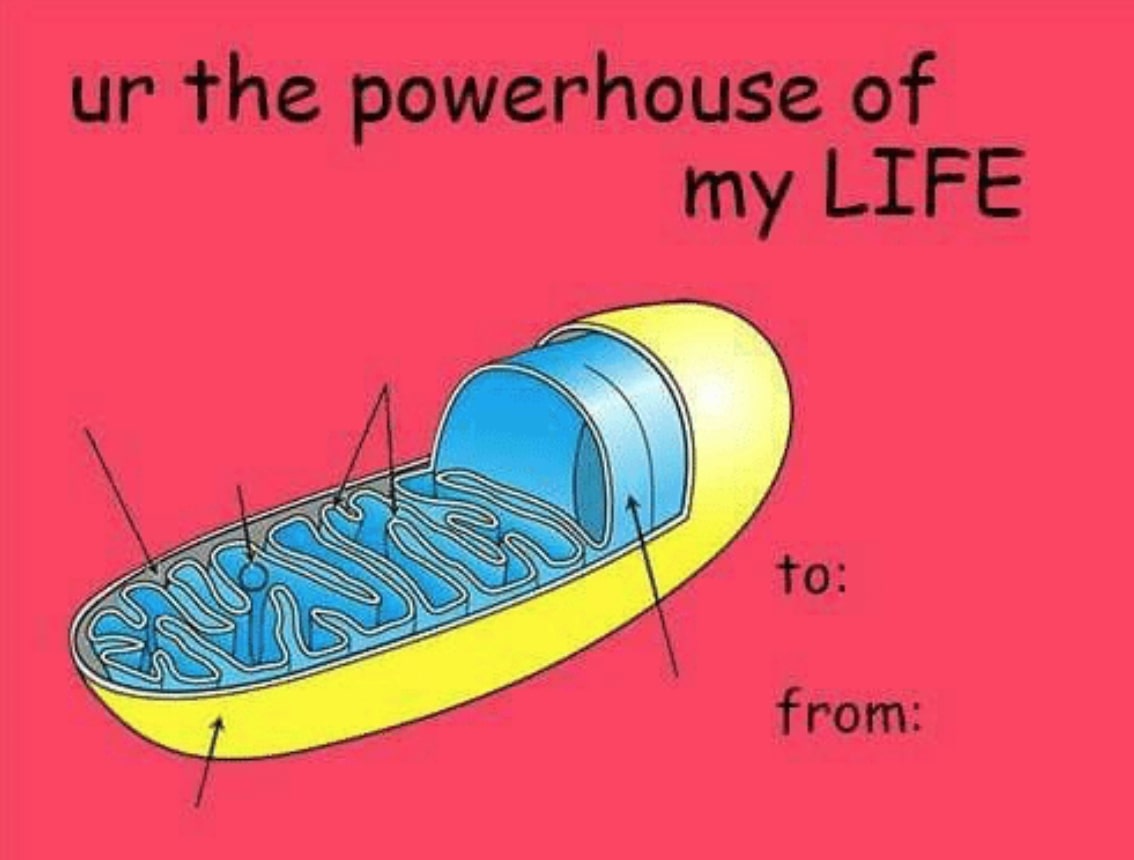 15 Valentines Day Card Memes That Will Make Your Loved Ones Laugh