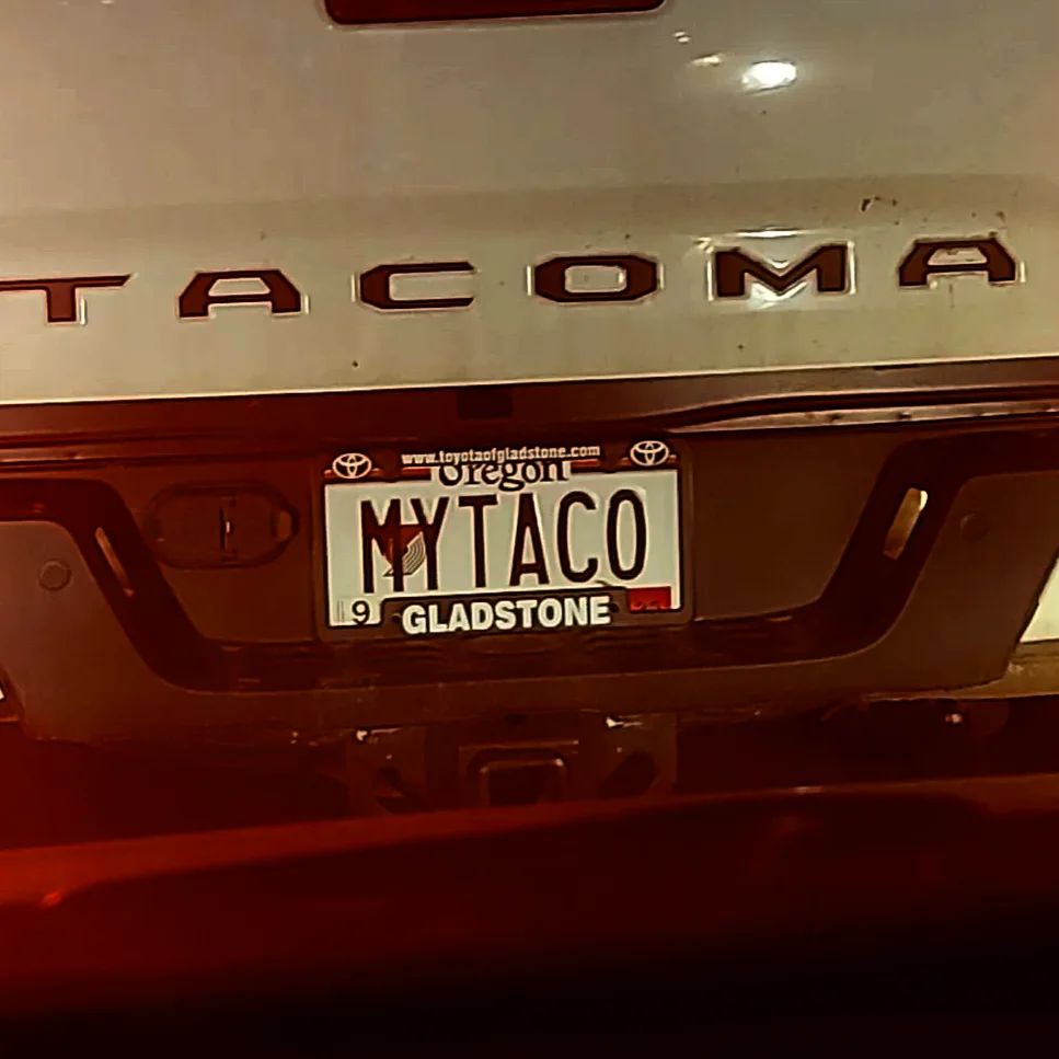 Craziest Custom License Plates