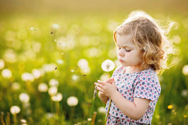 Tree Names for Girls and Boys