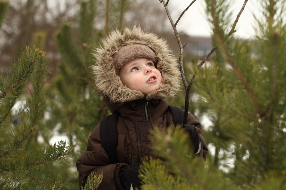 Tree Names for Girls and Boys