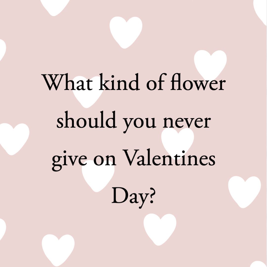 50 Valentines Day Jokes for Kids 