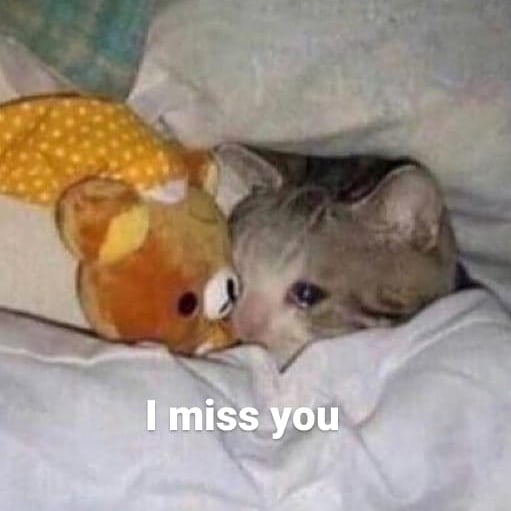 I Miss You Memes