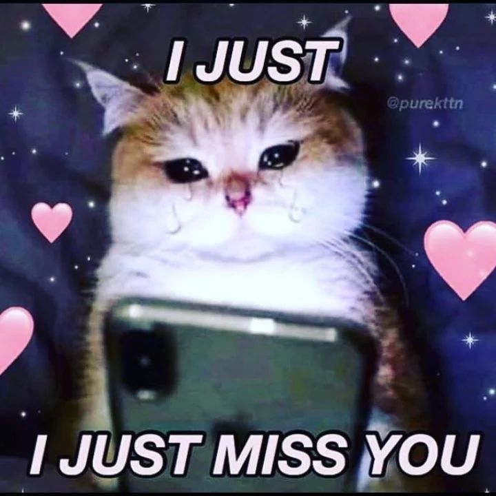 I Miss You Memes