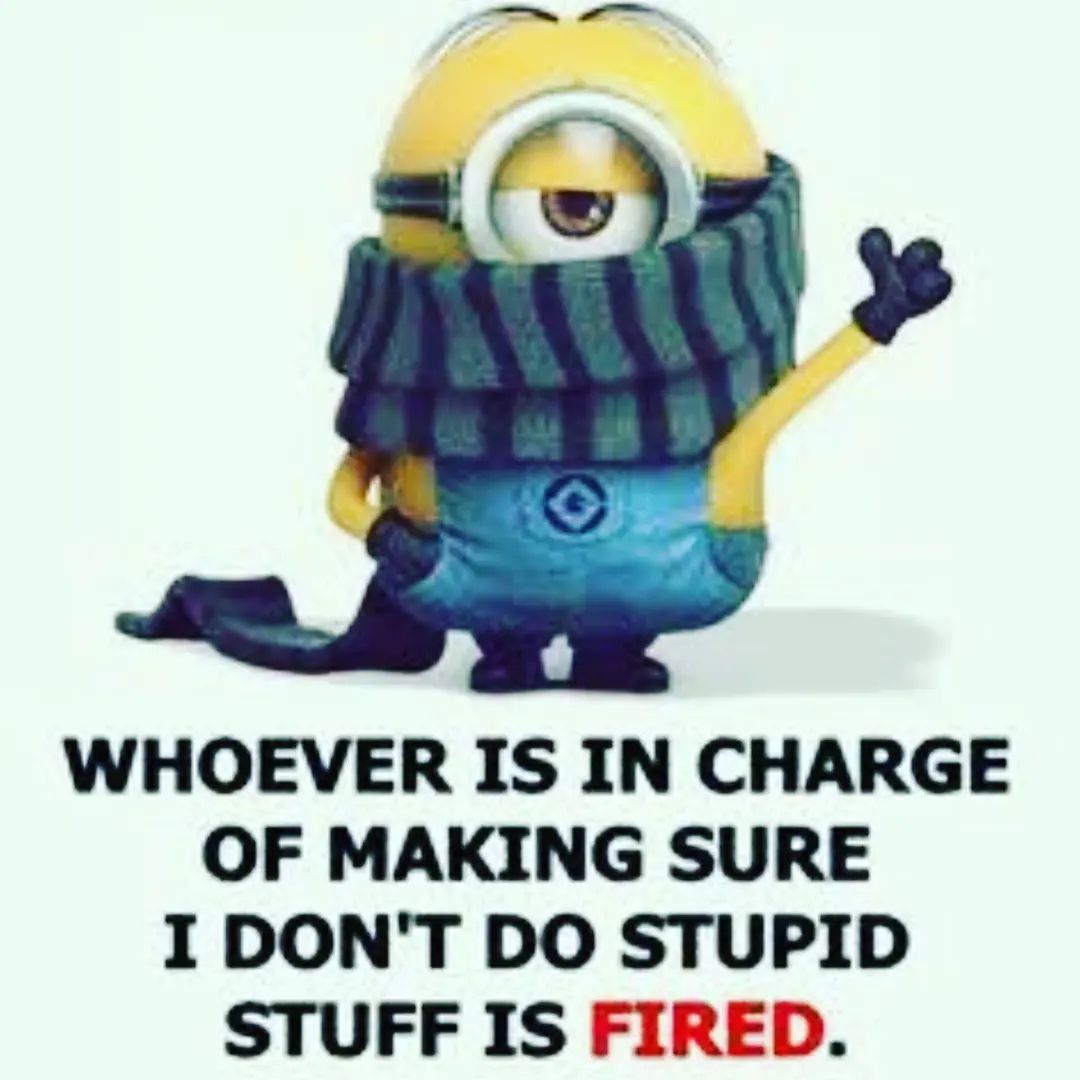 Minion Memes