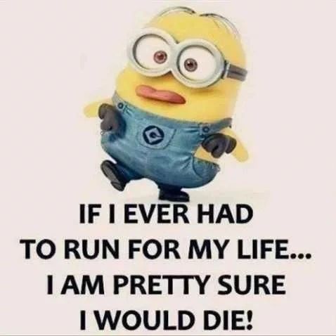 Minion Memes