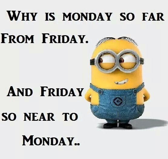 Minion Memes