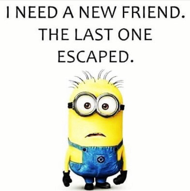 Minion Memes