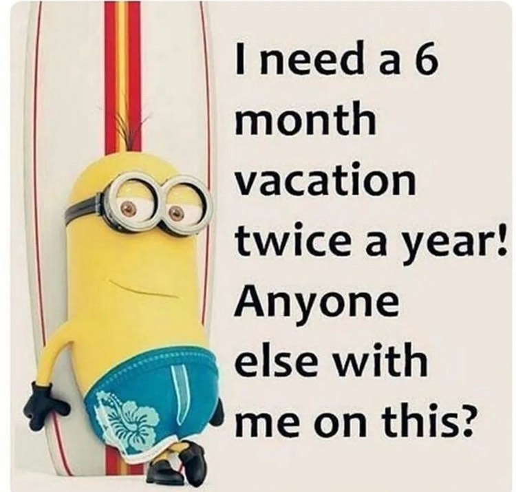 Minion Memes