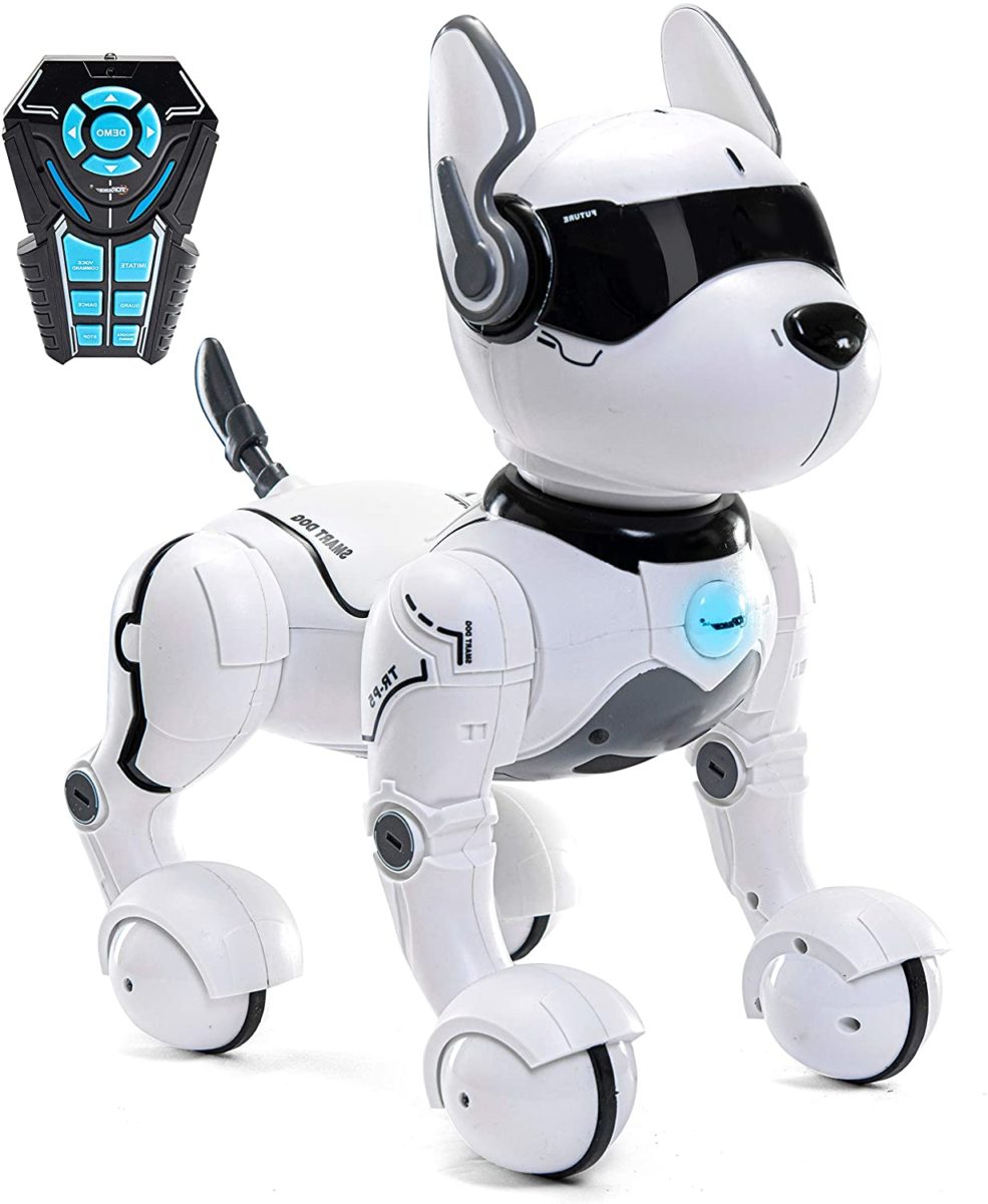 Fun Robot Dog Toys for Kids Who Want a Little Buddy