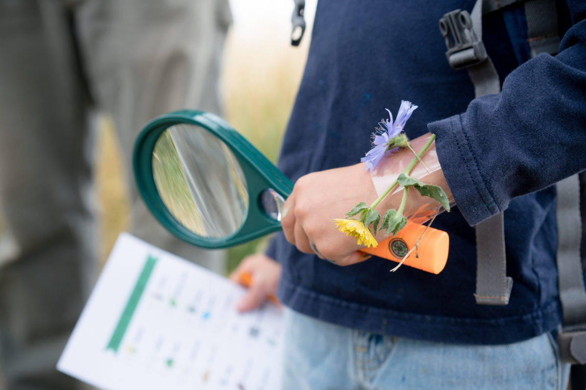 10 Creative Hiding Spot Ideas For Your Child's Easter Basket