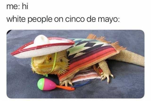 Cinco De Mayo Memes