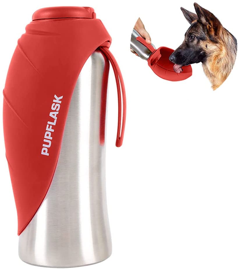 10 Best Dog Water Bottle Options