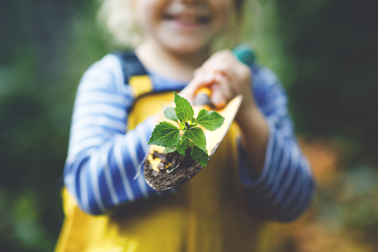 100+ Nature Baby Names