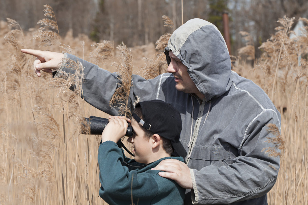 15 Free and Easy Ways to Celebrate Dad on His Birthday!