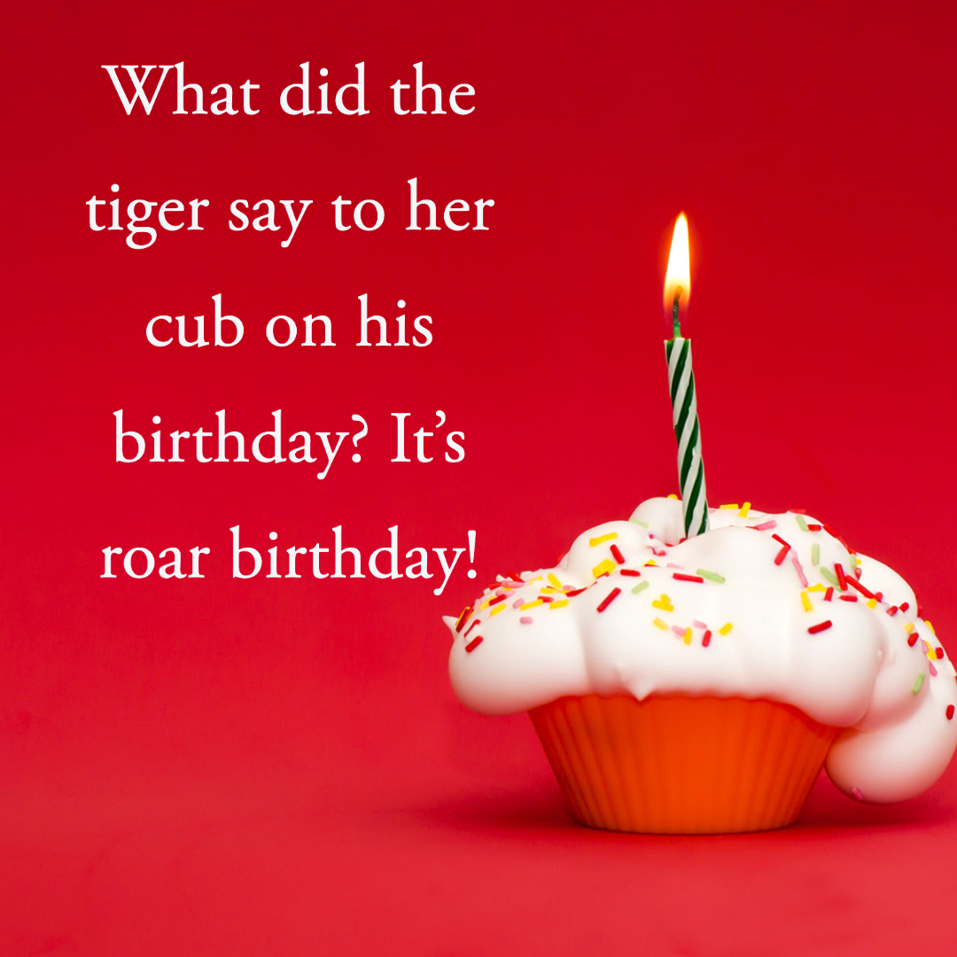 75 Funny Birthday Jokes for Kids