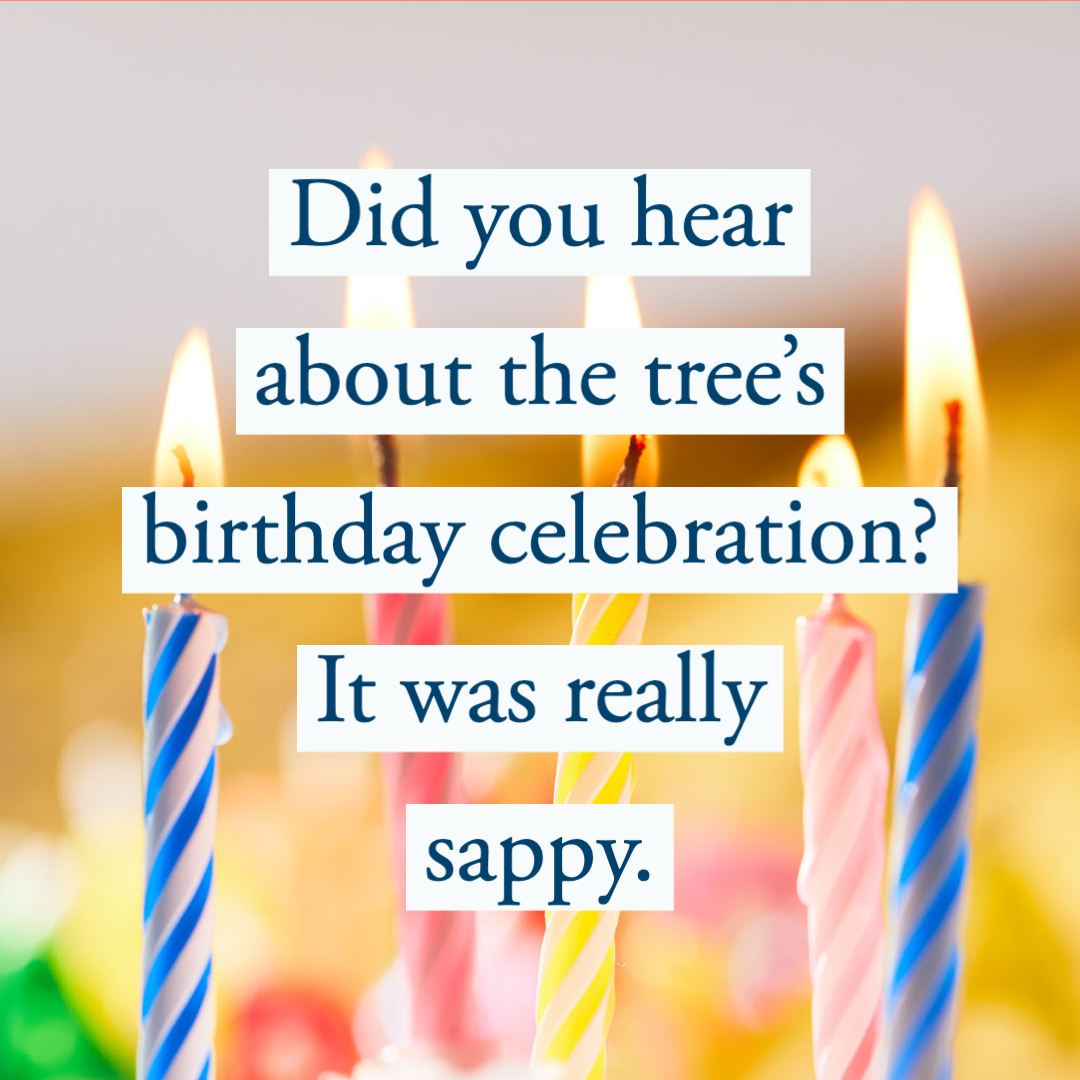 75 Funny Birthday Jokes for Kids