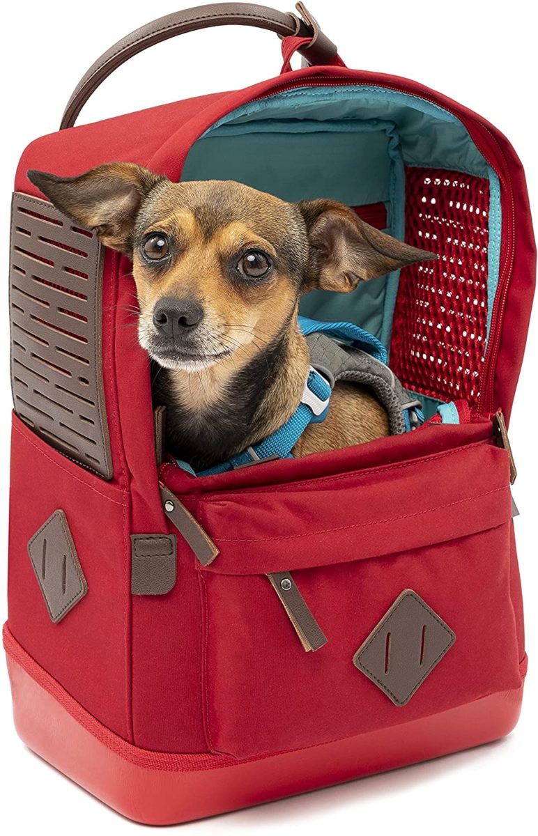 Dog Backpacks