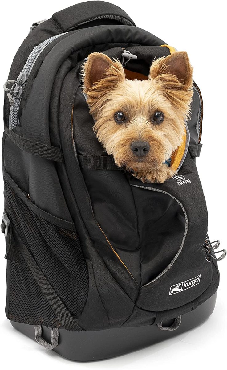 Dog Backpacks