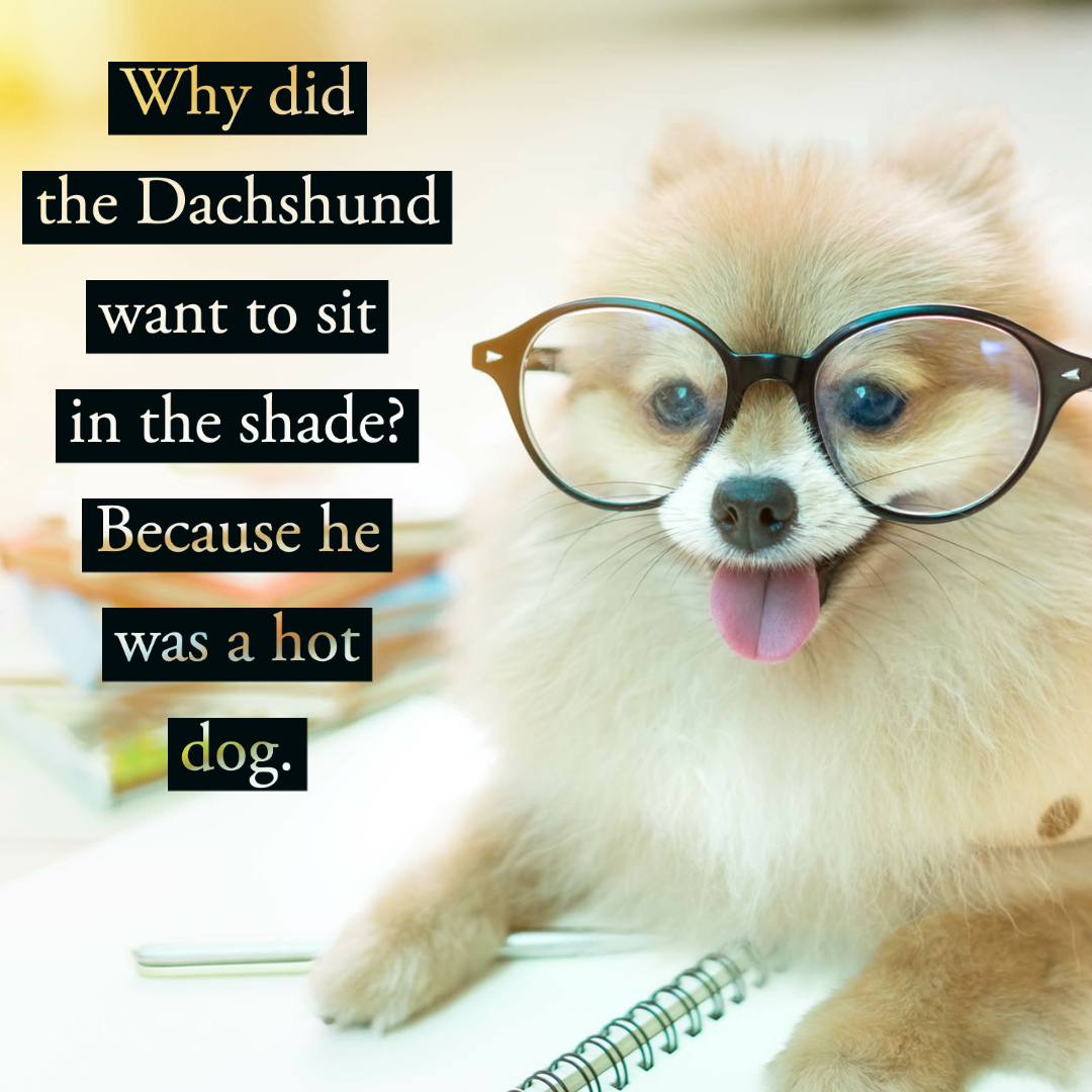 60 Best Dog Jokes