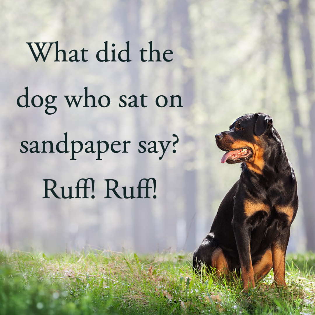 60 Best Dog Jokes