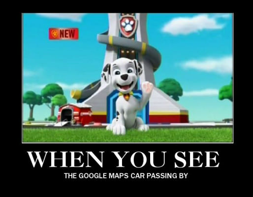 Paw Patrol Memes