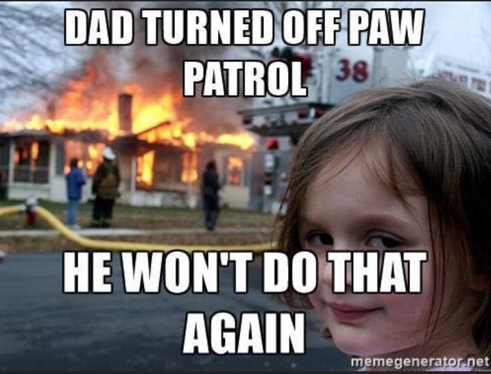 Paw Patrol Memes