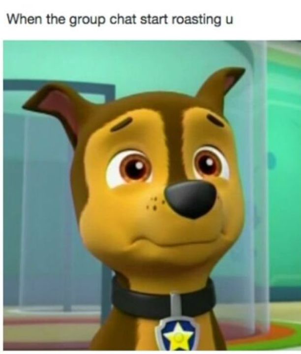 Paw Patrol Memes