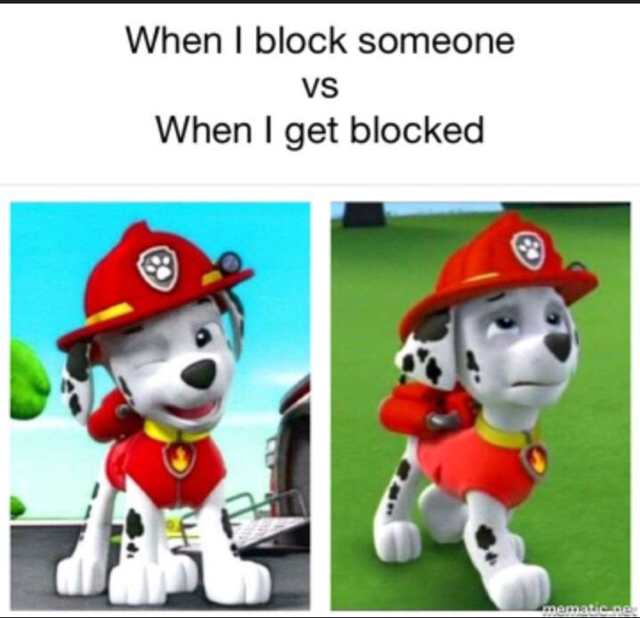 Paw Patrol Memes