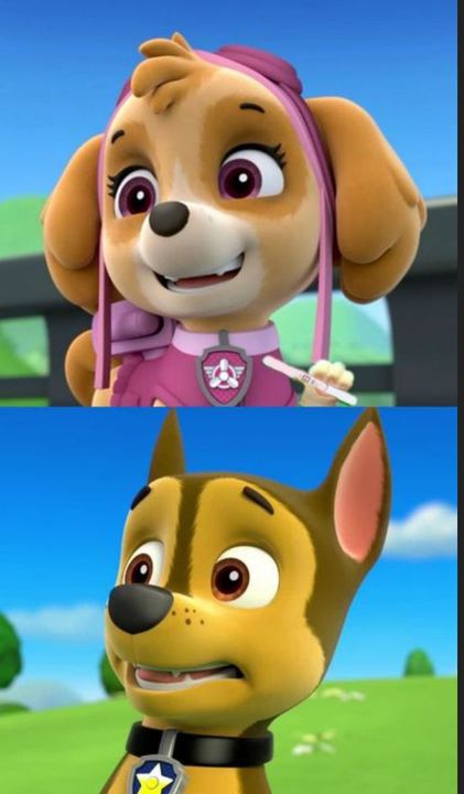 Paw Patrol Memes